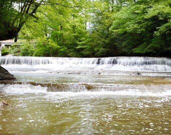 Könnte beinhalten: Ein Wasserfall stürzt über eine Reihe von Felsen in einer üppigen, grünen Waldlandschaft. Das Wasser ist klar und weiß, die Felsen sind braun und grau. Der Wald ist dicht und grün, mit Bäumen, die die Ufer des Flusses säumen.