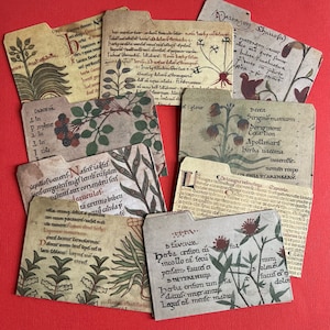 Handmade ephemera Greek, Latin floral herb junk vintage library pockets for journaling, scrapbooking supplies