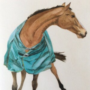 コート。あなた自身のメッセージを書き込める空白の馬のグリーティング カード。