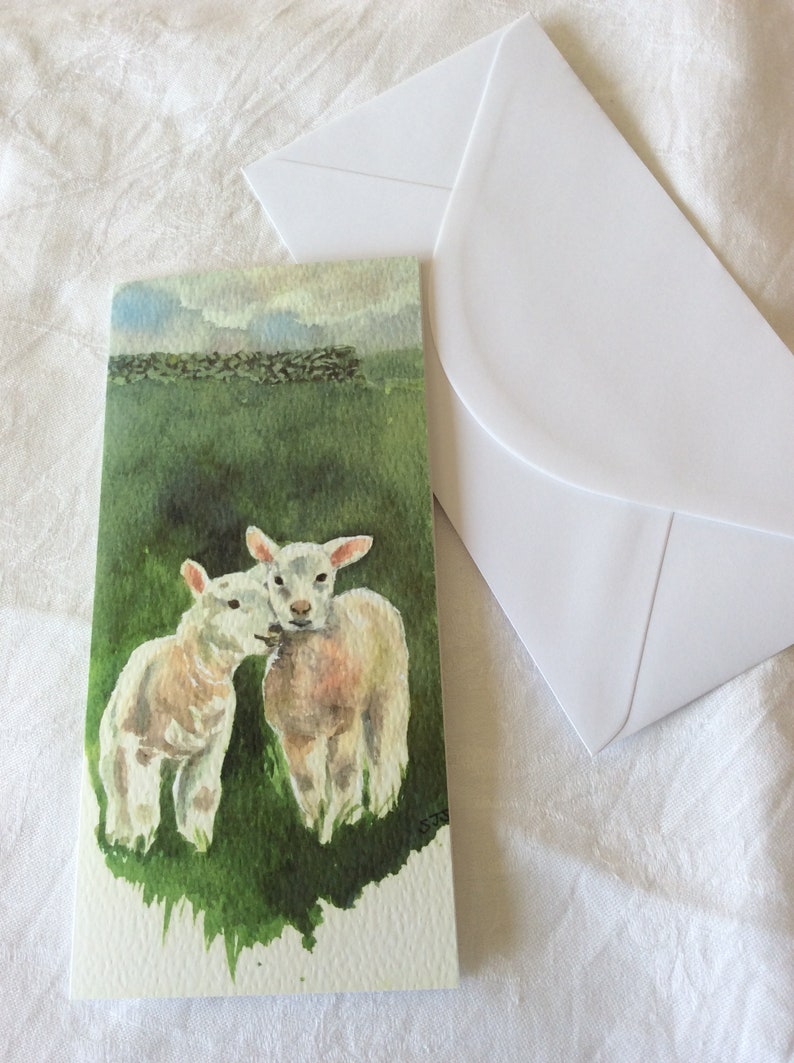 May include: A watercolor painting of two white lambs in a green field. The lambs are facing each other and appear to be nuzzling. The background is a green field with a stone wall in the distance.