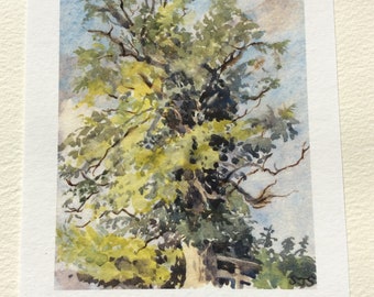A Gainsborough Type of Tree