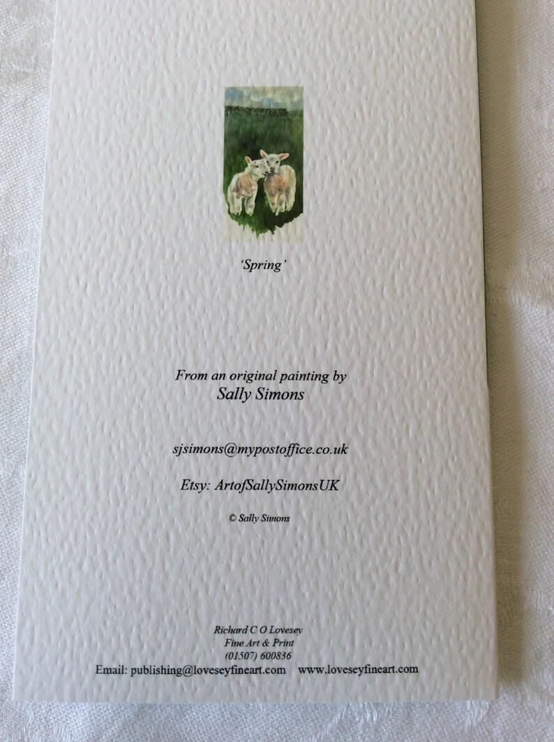 May include: A watercolor painting of two white lambs in a field, with the title 'Spring' written below. The painting is from an original by Sally Simons, with contact information for the artist.