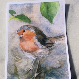 Robin