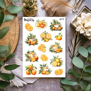 Hoja de pegatinas – Naranjas Art 76. Mandarinas, Cítricos, Frutas, Pegatinas de Bullet Journal, Pegatinas de Planificador, Pegatinas de Scrapbook
