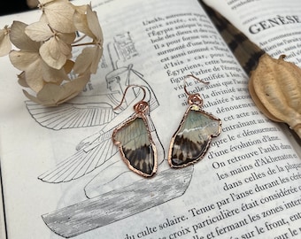 Resined real blue cicada wings with an eformed copper frame around on rose gold plated ear hooks