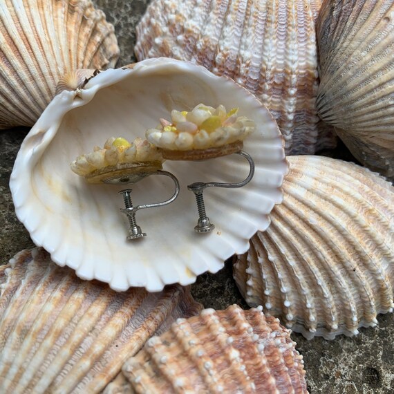 1940’s Tiny Shell Flower Screw Back Earrings - Su… - image 2