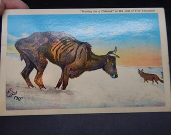 C.M. Russell "Waiting for a Chinook" Unused Post Card Billings News Curteichcolor 3D Product