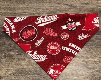 iu dog bandana