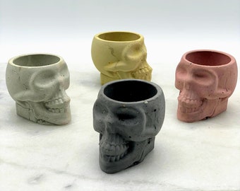 Air Plant Succulent Industrial Decor Concrete Planter Decor Holder Modern Cement Skull Edgy
