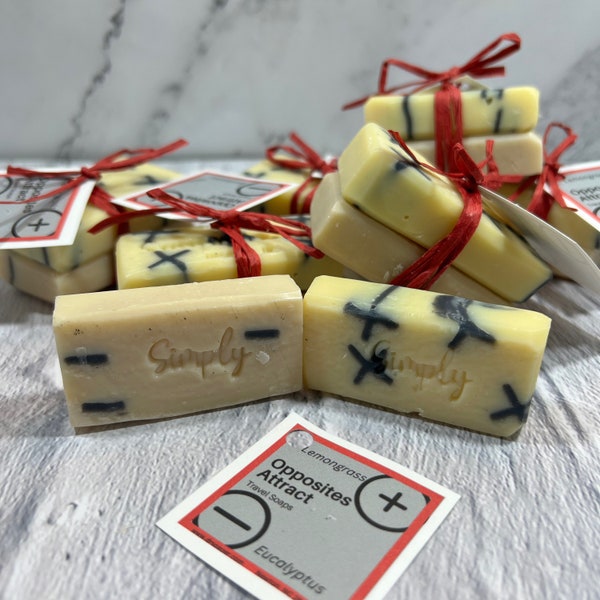 Opposites Attract Travel / Guest Soap Set of 2 in Eucalyptus and Lemongrass