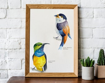 Exotic Bird Watercolour