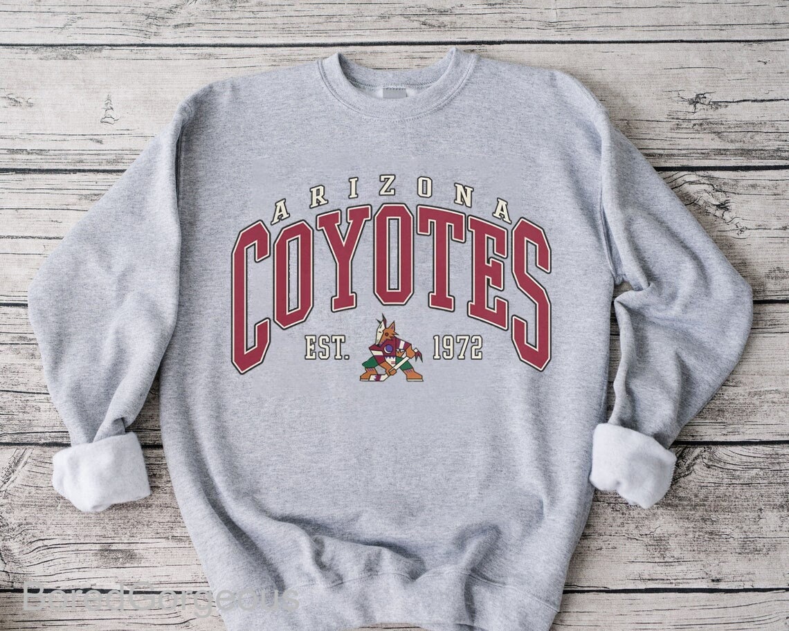 Men's Black Arizona Coyotes Desert Hockey Club Pullover Sweatshirt Size: Medium