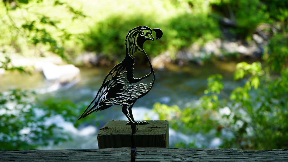 Steel Gambels Quail Decoration Etsy