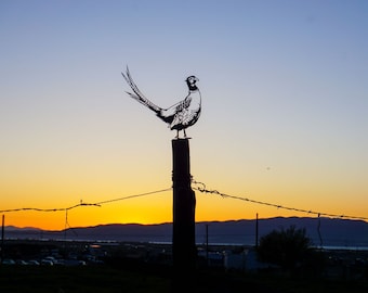 Metal Ring-Neck Pheasant Decoration & Garden Art