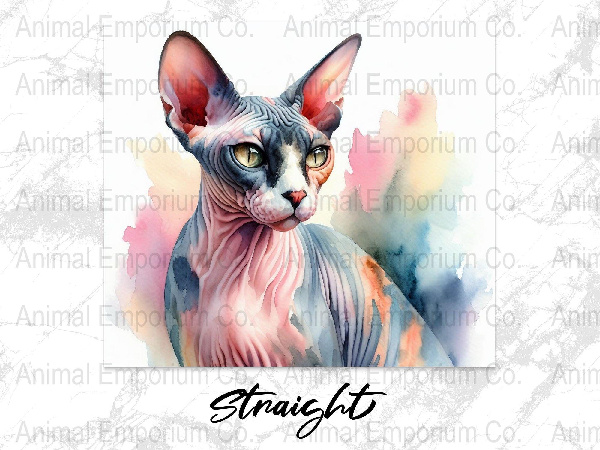 Sphynx Cat Watercolor Skinny Tumbler PNG Wrap, Sphynx Color Splash ...