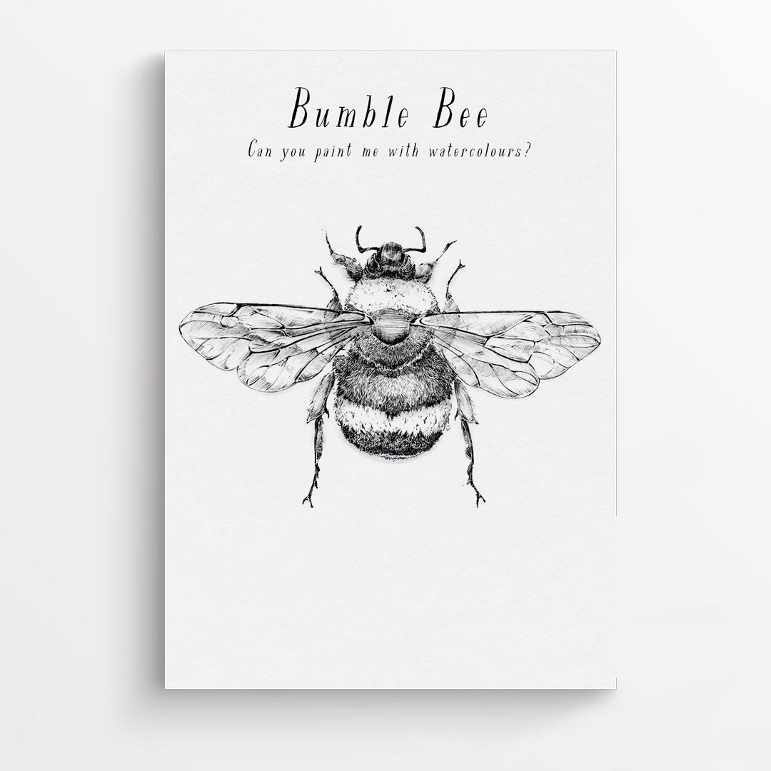 Bee Themed Worksheets for Nursery, Reception, Kindergarten, KS1 Etsy