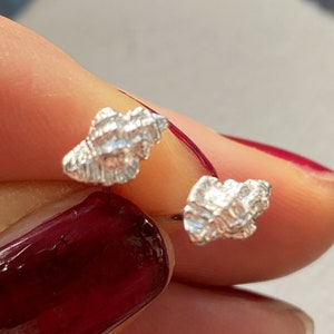 May include: A pair of silver earrings shaped like small, textured seashells. The earrings are shown on a person's hand with red nail polish.
