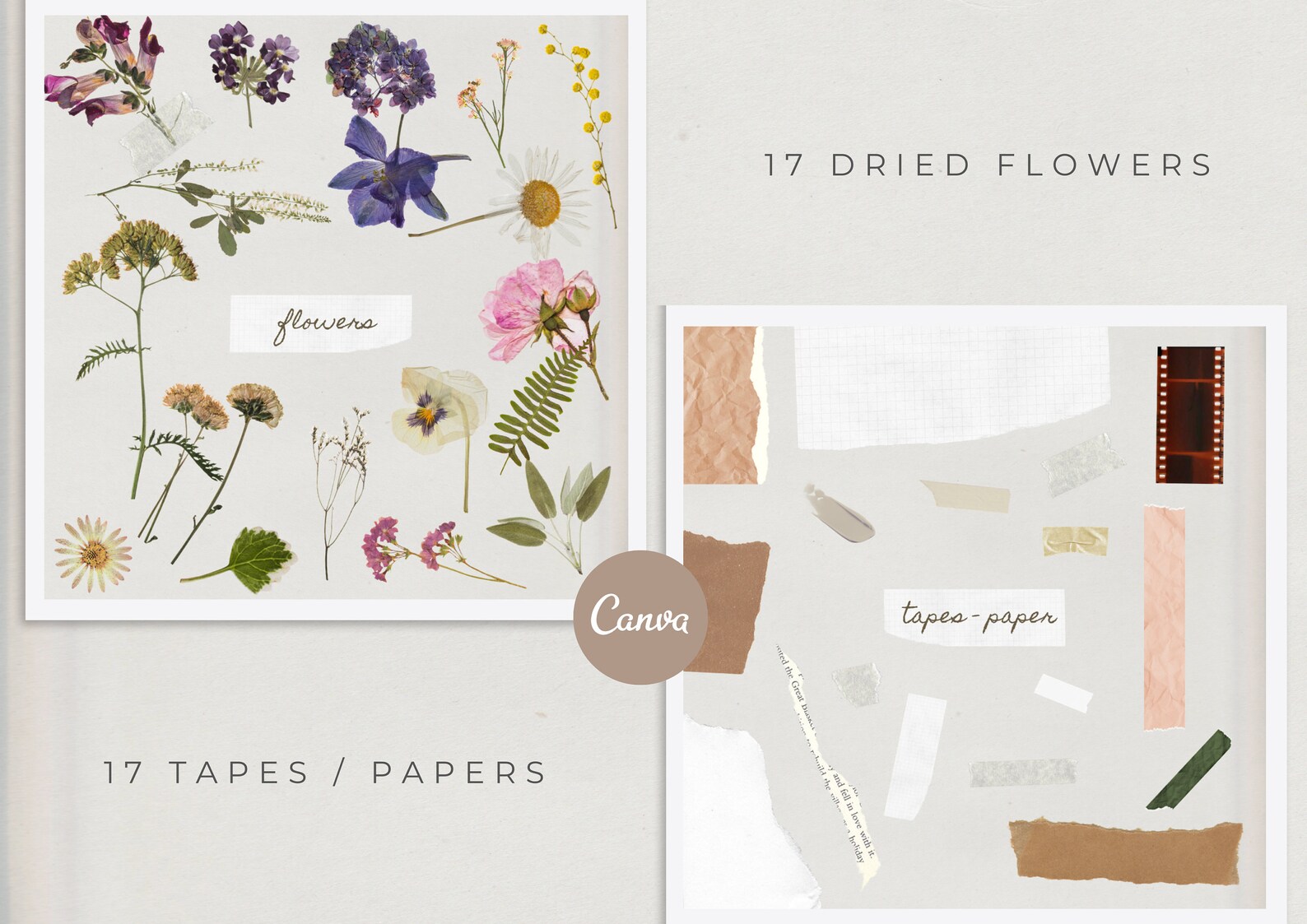 Download Canva Mockup Creator Moodboard Mockup Moodboard Mockup | Etsy