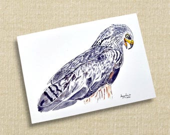 Red kite greeting card