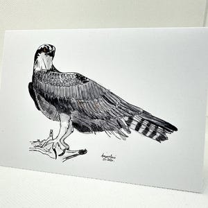 Cartão de felicitações Majestic Osprey – perfeito para qualquer ocasião!