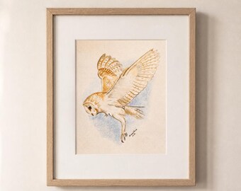 Lámina artística de fauna británica: lechuza común.