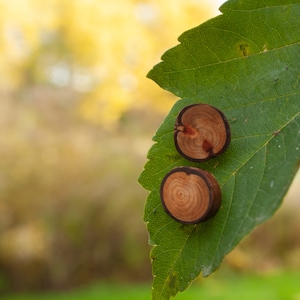 Boucles d'oreilles puces en bois de séquoia • Paire de boucles d'oreilles puces en bois • Boucles d'oreilles bois • Bijoux en bois • Bijoux naturels • bijoux en bois