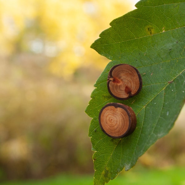 Ohrstecker aus Mammutbaumholz • Holz Ohrstecker-Paar • Ohrringe Holz • Holzschmuck • Naturschmuck •  woodjewelry