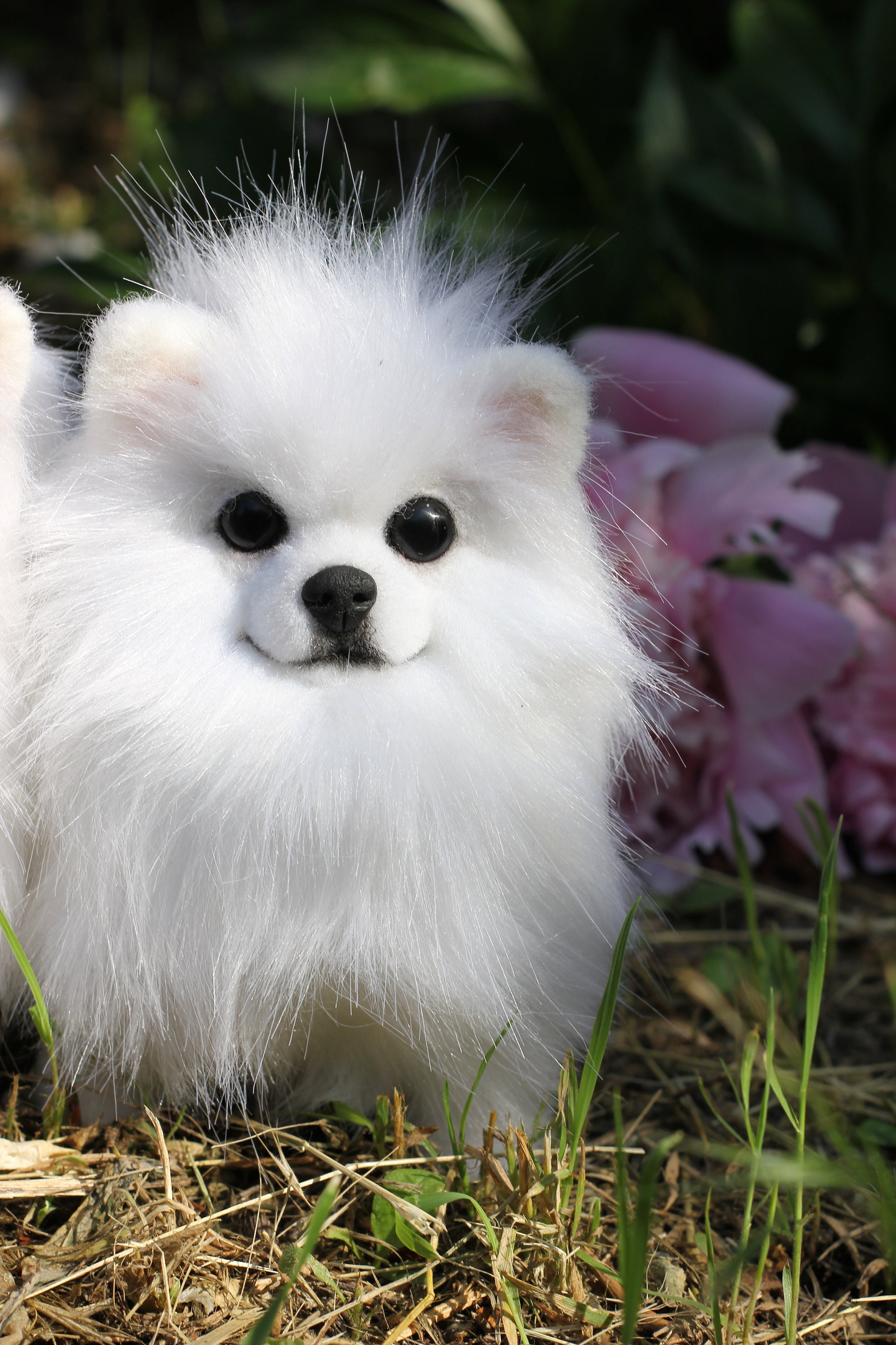 Realistic toy white spitz by photo / custom pet replica / Etsy