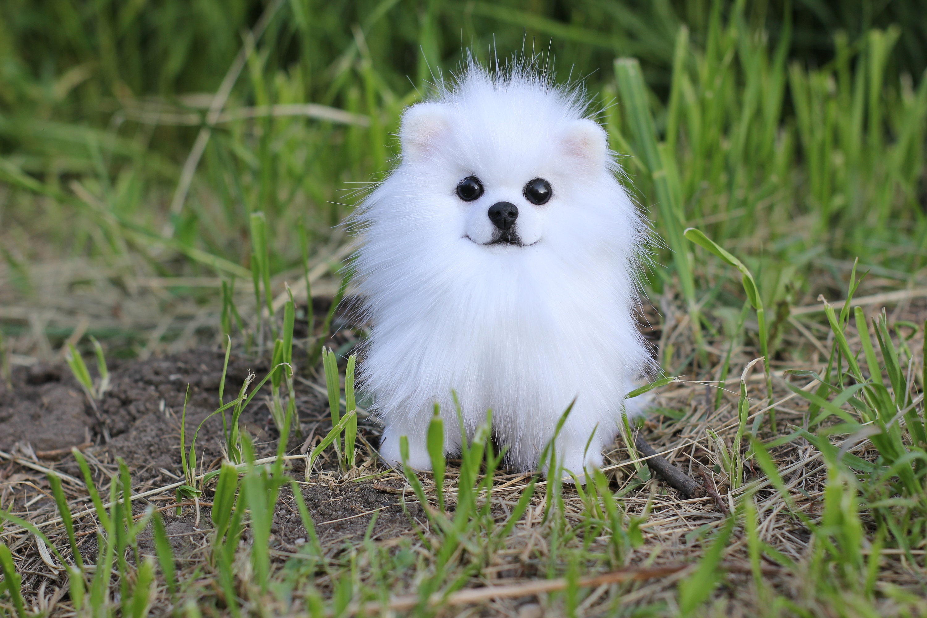 Realistic toy white spitz by photo / custom pet replica / Etsy