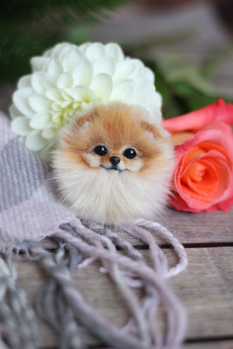 Realistic brooch portrait of Pomeranian spitz by photo