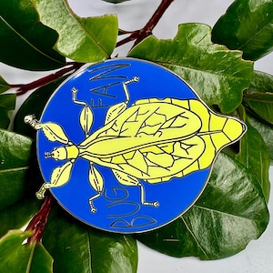 Bug Fan - Monteith&#39;s Leaf insect pin