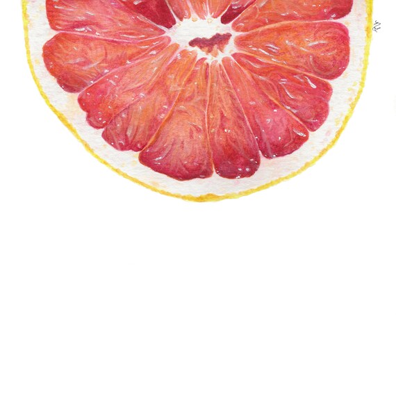 Grapefruit Watercolor Painting Digital Download Etsy