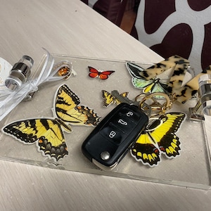 Resin rolling and vanity trays
