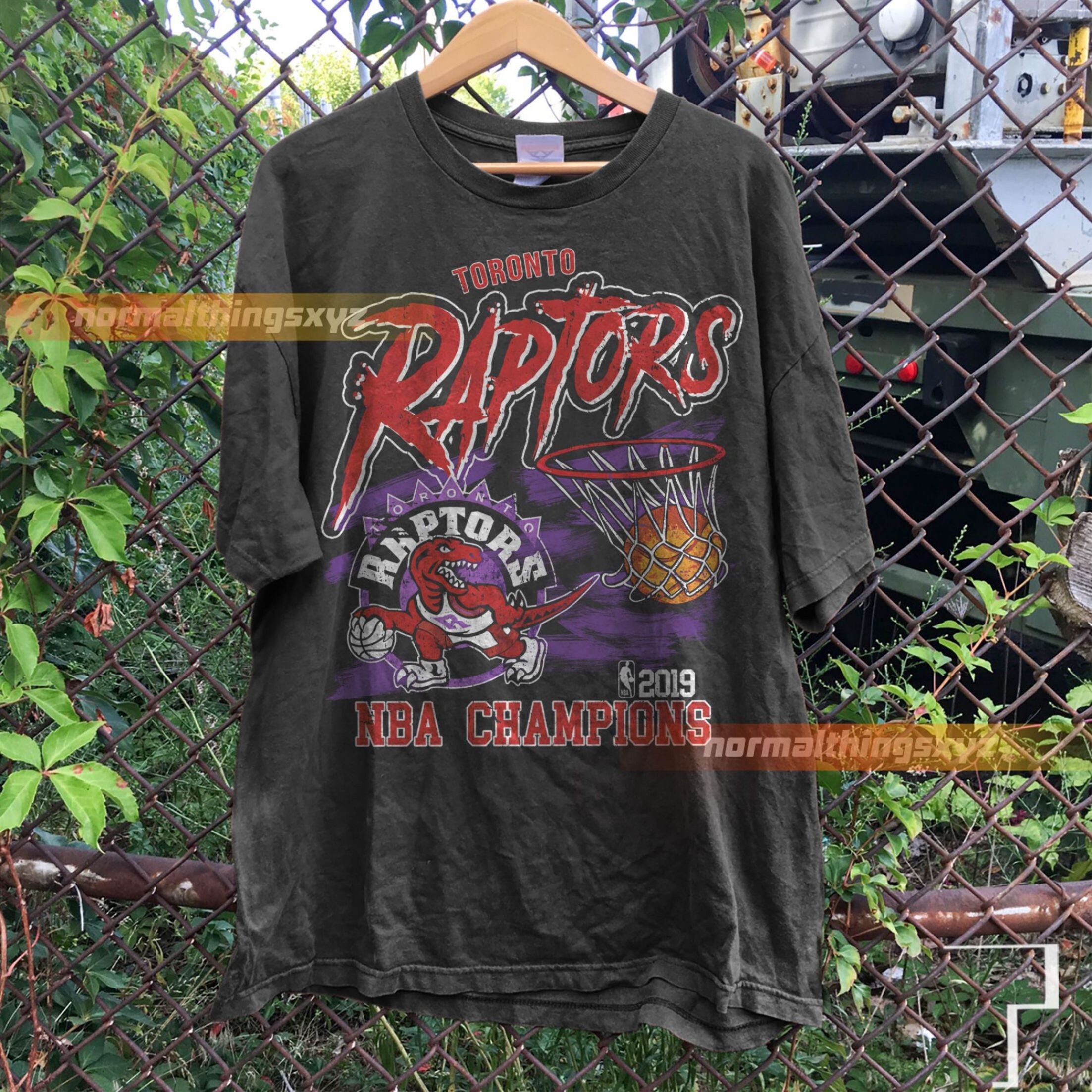 Toronto Raptors Vintage 90's Dinosaur NBA Crewneck Sweatshirt –  SocialCreatures LTD