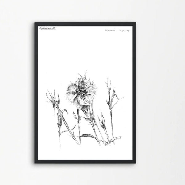 Dianthus Flower | Fine Line Ink Botanical Illustration | Postcards | Printable | Tattoo Design | Wall Art | A5 print or digital