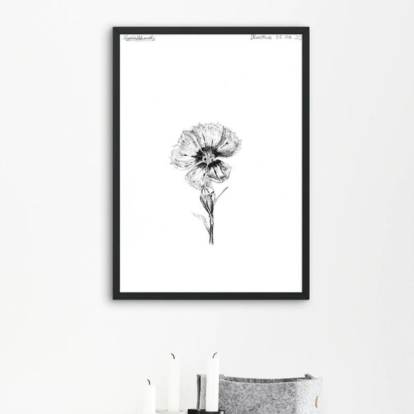 Dianthus | Fine Line Ink Botanical Illustration | Postcards | Printable | Tattoo Design | Wall Art | A5 print or digital