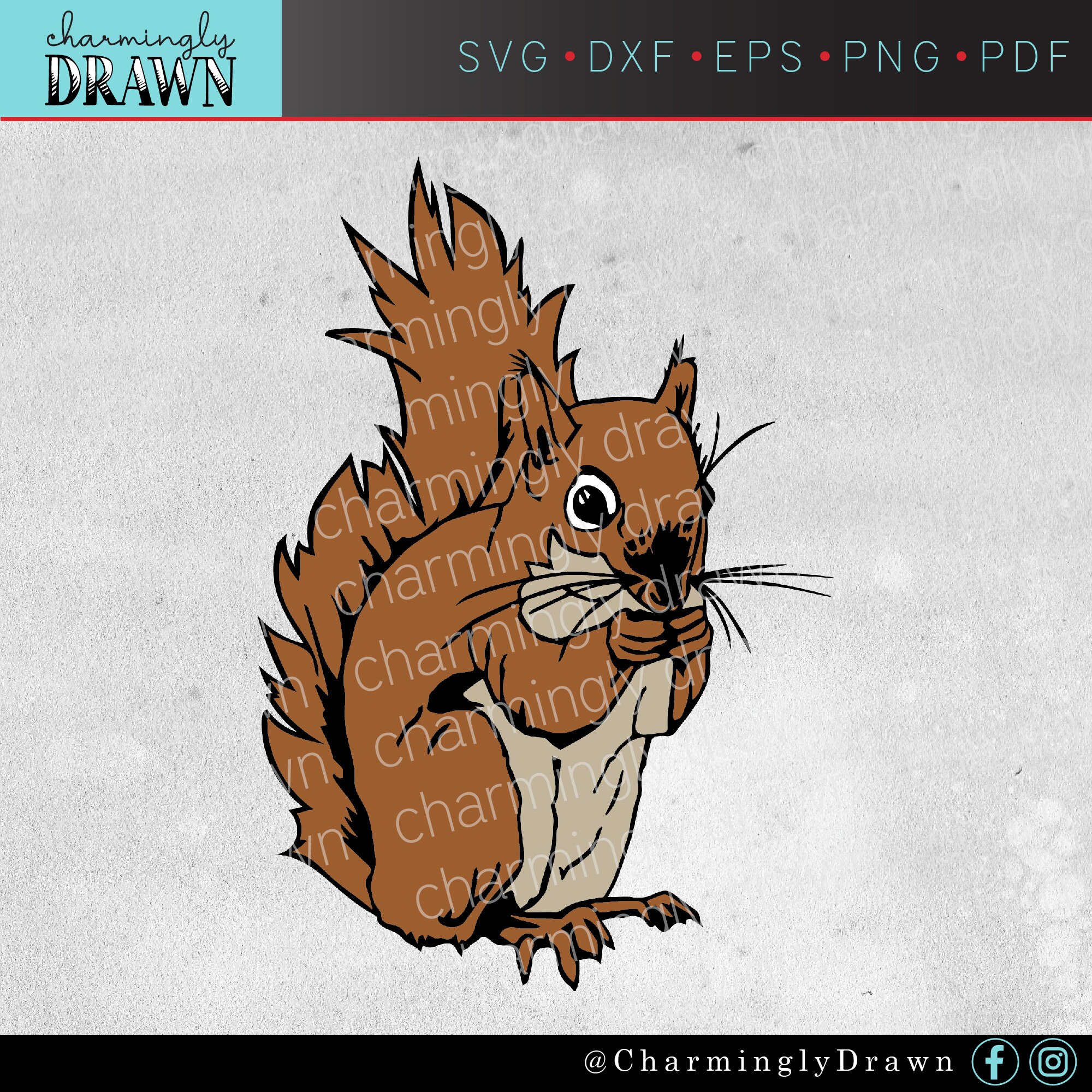 Squirrel SVG Squirrel Clip Art Squirrel Decor Farmhouse Etsy