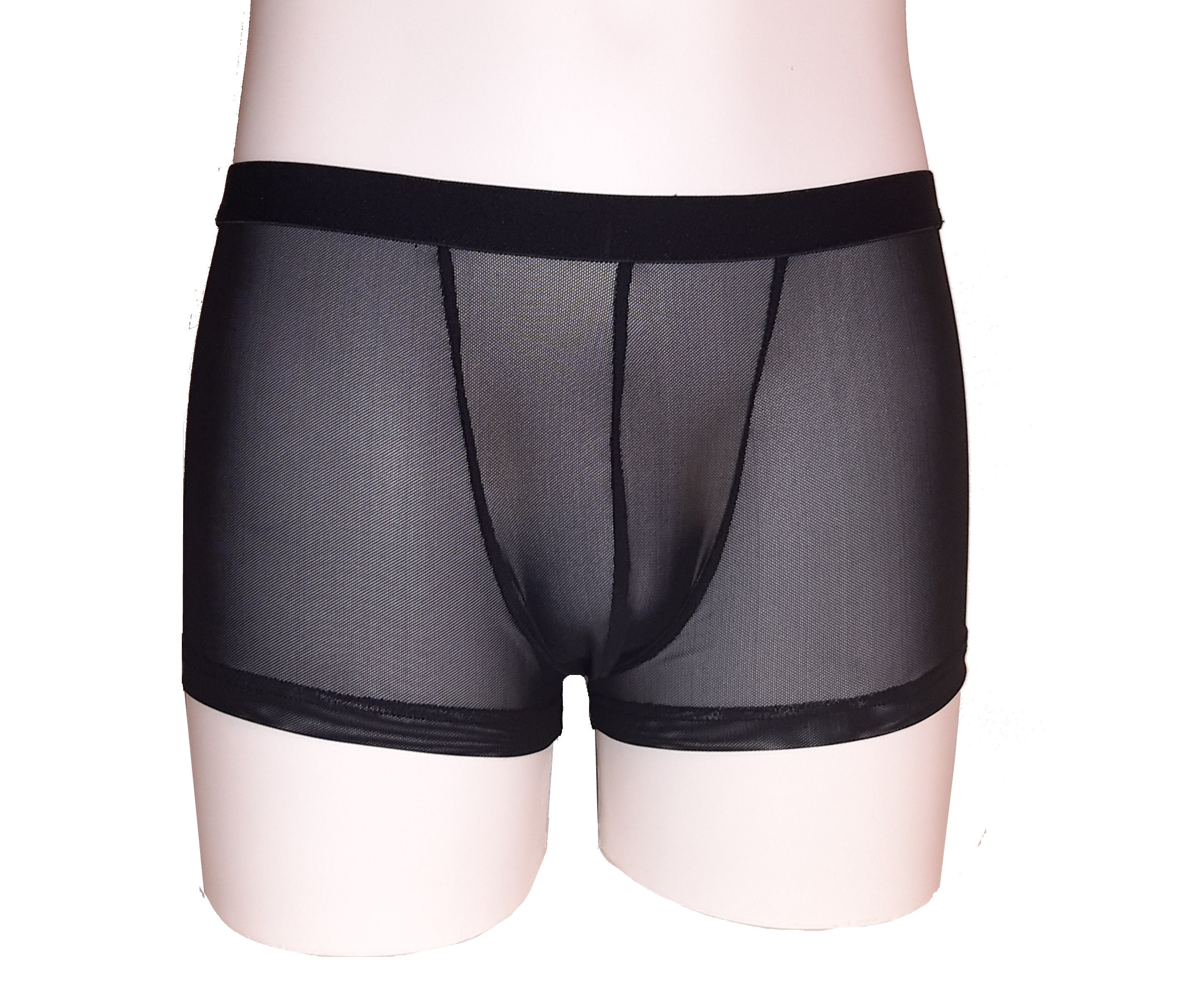 Buy Sexy Low Waist Mens Underwear Nylon Striped Transparent Boxer
