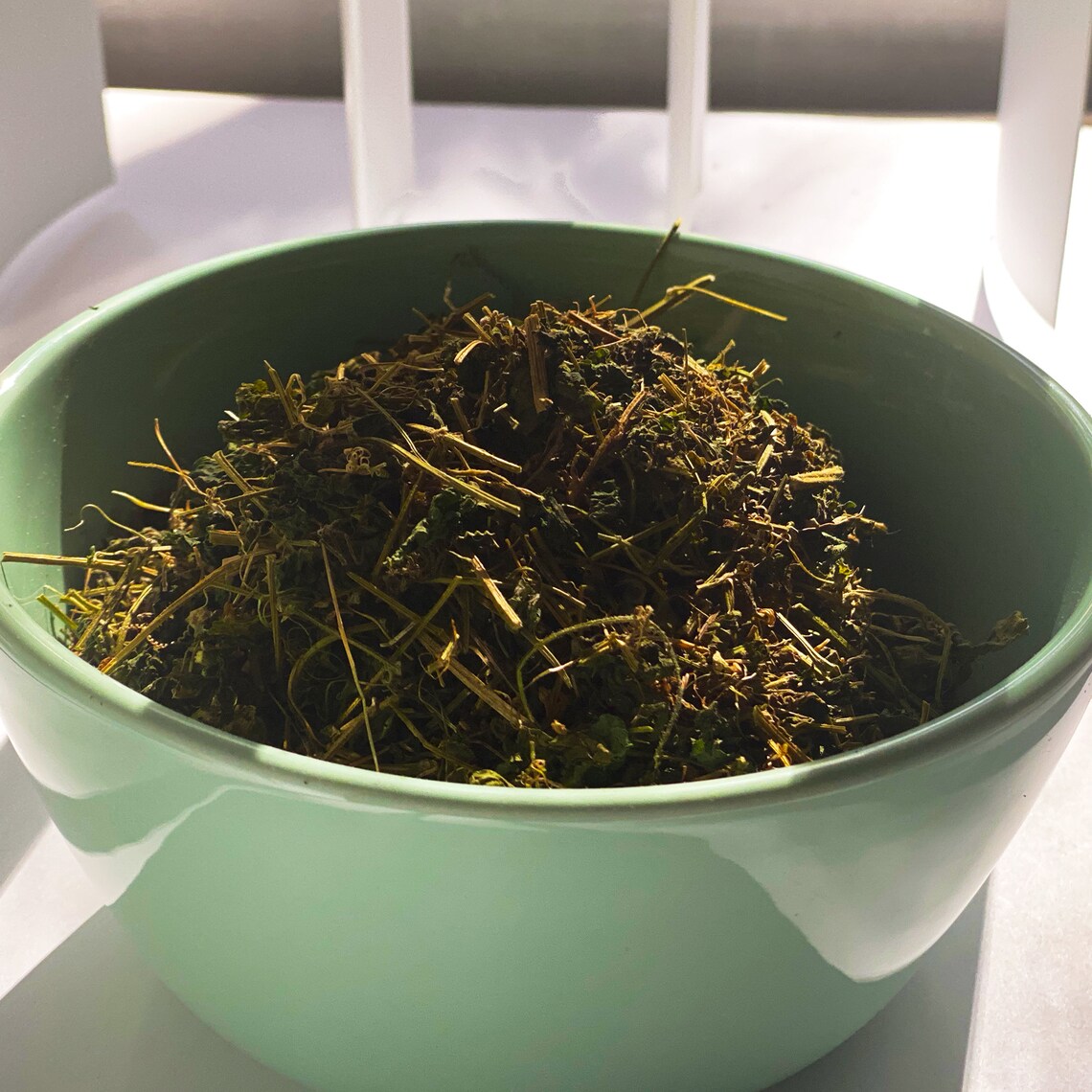 Jamaican Cerasee Bitters bitter Melon Momordica Charanta Etsy