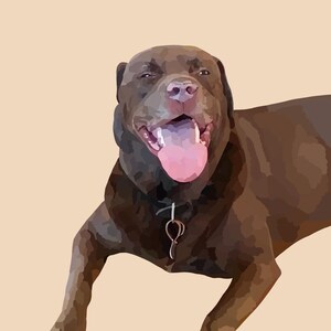 Custom Detailed Pet Illustration | Custom Pet Portrait