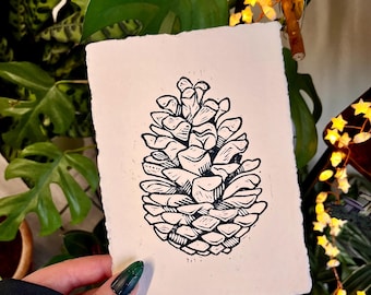 Linoryt szyszkowy 5x7