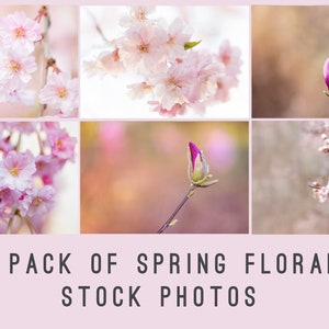 Stock Photos, Stock Photo Bundle, High Resolution Stock Photos, Stock Images, Spring stock photos, Marketing Photos, Blogger Stock Photos