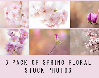 Stock Photos, Stock Photo Bundle, High Resolution Stock Photos, Stock Images, Spring stock photos, Marketing Photos, Blogger Stock Photos