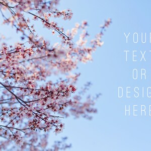 Stock Photo, High Resolution Stock Photo, Digital Download, Spring photo, Advertising Photos, Social Media photos, Marketing Photos, Floral4