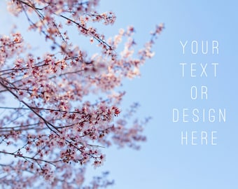 Stock Photo, High Resolution Stock Photo, Digital Download, Spring photo, Advertising Photos, Social Media photos, Marketing Photos, Floral4