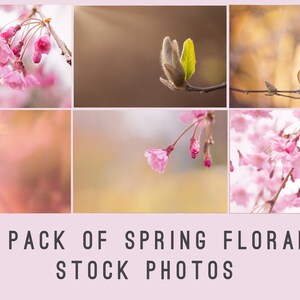 Stock Photos, Stock Photo Bundle, High Resolution Stock Photos, Stock Images, Spring stock photos, Marketing Photos, Blogger Stock Photos