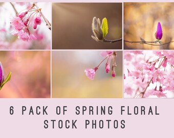 Stock Photos, Stock Photo Bundle, High Resolution Stock Photos, Stock Images, Spring stock photos, Marketing Photos, Blogger Stock Photos
