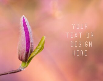 Stock Photo, High Resolution Stock Photo, Digital Download, Spring photo, Advertising Photos, Social Media photo, Marketing Photos, Floral5