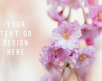 Spring Floral 1, Stock Photography, Stock Photo, Text Overlay, Design Overlay, Spring, Photo, Digital, Blog, Social Media