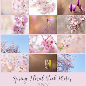 Stock Photos, Stock Photo Bundle, High Resolution Stock Photos, Stock Images, Spring stock photos, Marketing Photos, Blogger Stock Photos